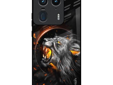 Aggressive Lion Glass Case for Motorola Edge 50 Ultra 5G on Sale