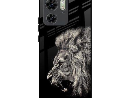 Brave Lion Glass Case for Motorola Edge 40 Discount