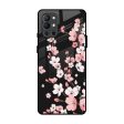 Black Cherry Blossom Glass Case for OnePlus 9R Online Sale