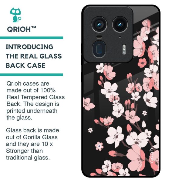 Black Cherry Blossom Glass Case for Motorola Edge 50 Ultra 5G Online