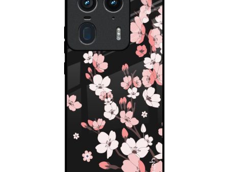 Black Cherry Blossom Glass Case for Motorola Edge 50 Ultra 5G Online