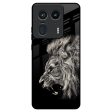 Brave Lion Glass Case for Motorola Edge 50 Ultra 5G Online