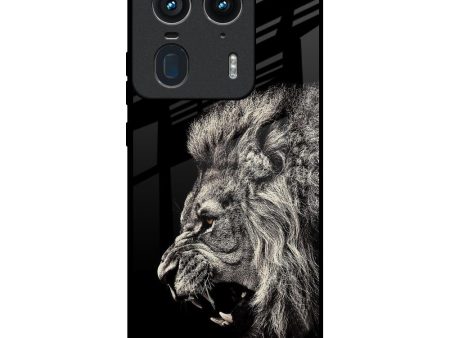 Brave Lion Glass Case for Motorola Edge 50 Ultra 5G Online