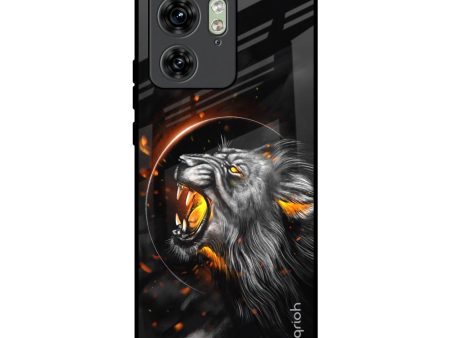 Aggressive Lion Glass Case for Motorola Edge 40 Hot on Sale