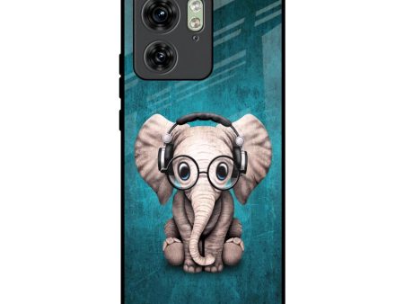 Adorable Baby Elephant Glass Case For Motorola Edge 40 Hot on Sale