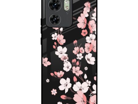 Black Cherry Blossom Glass Case for Motorola Edge 40 on Sale