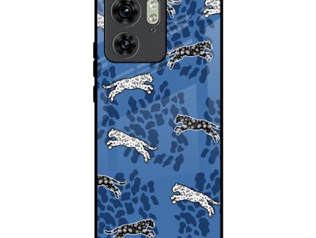 Blue Cheetah Glass Case for Motorola Edge 40 Discount