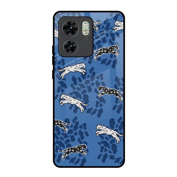 Blue Cheetah Glass Case for Motorola Edge 40 Discount