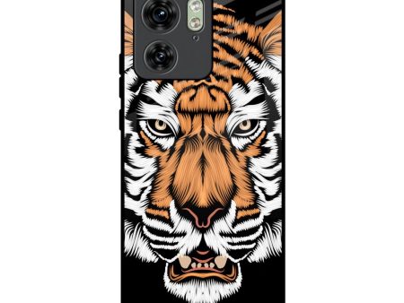 Angry Tiger Glass Case For Motorola Edge 40 Online